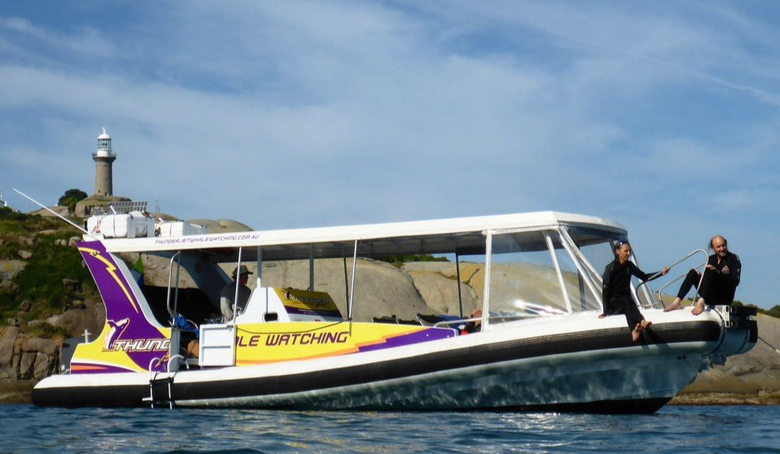 Our Awesome Tour Vessel Eco 1